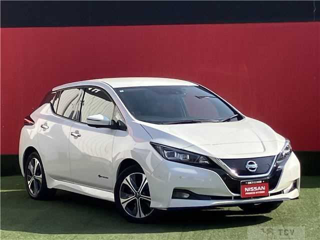 2020 Nissan Leaf