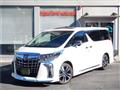 2020 Toyota Alphard G