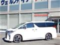 2020 Toyota Alphard G