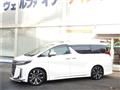 2019 Toyota Alphard G