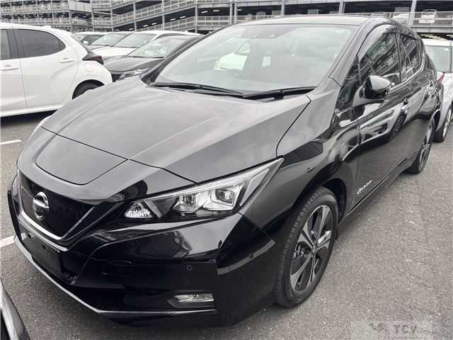 2019 Nissan Leaf
