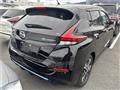 2019 Nissan Leaf