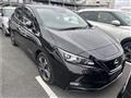 2019 Nissan Leaf