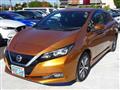 2019 Nissan Leaf