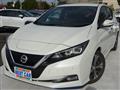 2019 Nissan Leaf