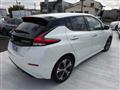 2019 Nissan Leaf