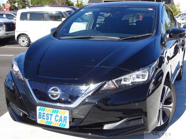2019 Nissan Leaf