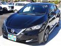 2019 Nissan Leaf