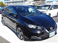 2019 Nissan Leaf