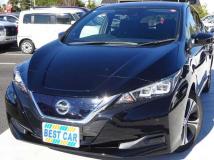 2019 Nissan Leaf