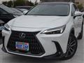 2024 Lexus Other