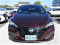 2022 Nissan Leaf
