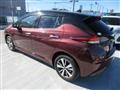2022 Nissan Leaf