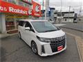 2018 Toyota Alphard G