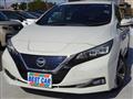 2018 Nissan Leaf