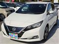 2018 Nissan Leaf