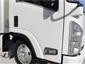 2008 Isuzu Elf Truck
