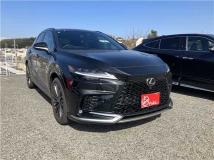 2025 Lexus RX