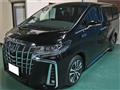 2016 Toyota Alphard G