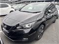 2019 Nissan Leaf