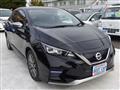 2019 Nissan Leaf