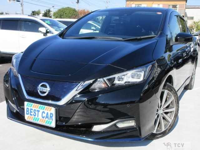 2020 Nissan Leaf