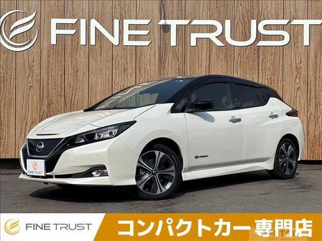 2019 Nissan Leaf