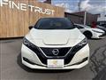 2019 Nissan Leaf