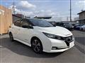 2019 Nissan Leaf