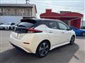 2019 Nissan Leaf