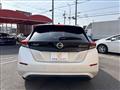 2019 Nissan Leaf