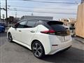 2019 Nissan Leaf