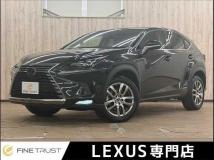 2019 Lexus Other