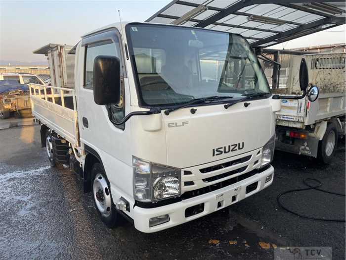 2019 Isuzu Elf Truck