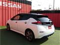 2021 Nissan Leaf