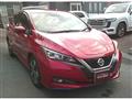 2021 Nissan Leaf