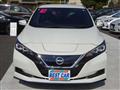 2021 Nissan Leaf