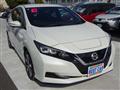 2021 Nissan Leaf