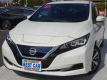 2021 Nissan Leaf
