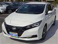 2021 Nissan Leaf