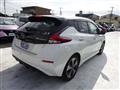 2021 Nissan Leaf