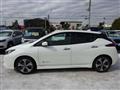 2021 Nissan Leaf