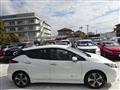 2021 Nissan Leaf