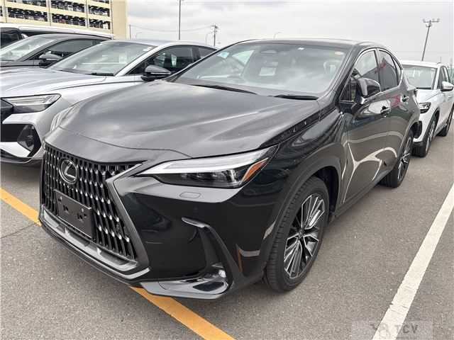 2023 Lexus Other
