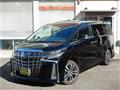 2019 Toyota Alphard G