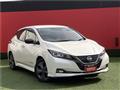 2021 Nissan Leaf