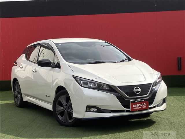 2021 Nissan Leaf