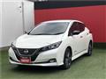 2021 Nissan Leaf