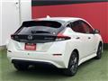 2021 Nissan Leaf