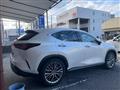 2023 Lexus Other